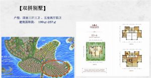 双拼别墅 建筑面积：199-257㎡